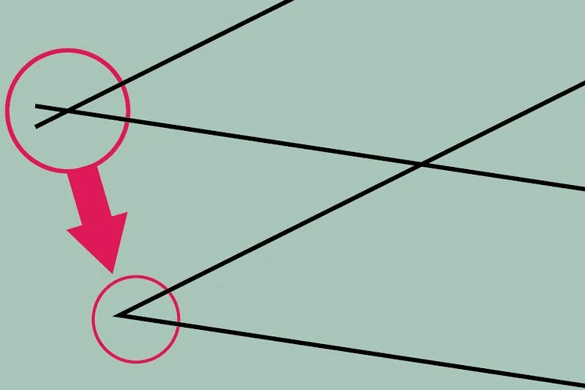 vẽ đường thẳng trong Adobe Illustrator